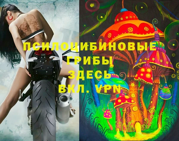 бошки Бугульма