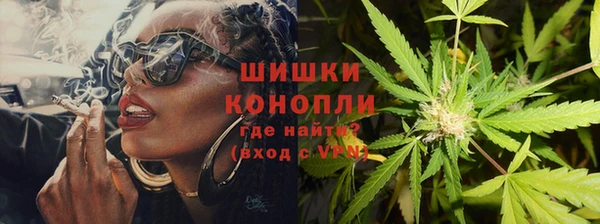 гидропоника Бородино