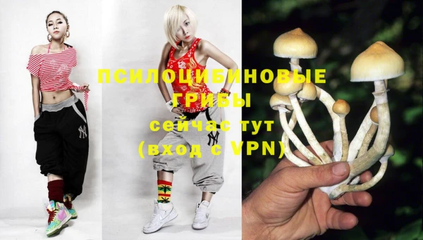 гидропоника Бородино
