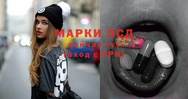 гидропоника Бородино